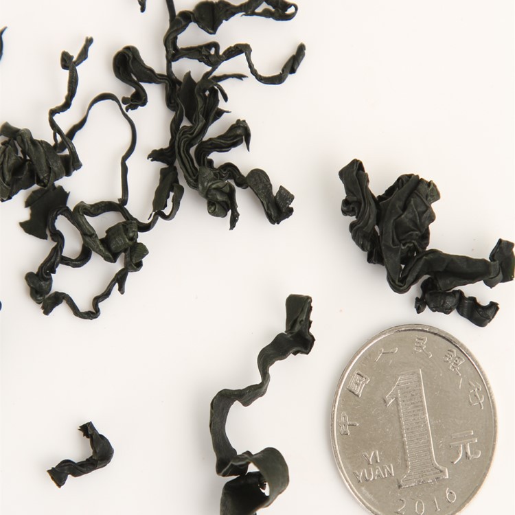 Dalian Seaweed Wakame Dried Seafood Seasoning Model M, L Roll Dried Seaweed Direct Supply Dried Seaweed