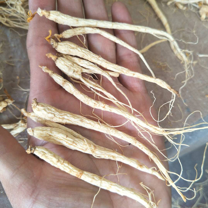 Целый корень маленького женьшеня с горы Чанбай, сушеный женьшень, косметика и чай из цветов женьшеня