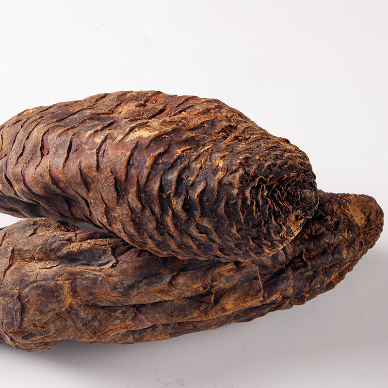 Xinjiang Cistanche Deserticola 500g Inner Mongolia Alxa League with Cynomorium Seed Wine Cistanche Deserticola Soft Danyun Delivery