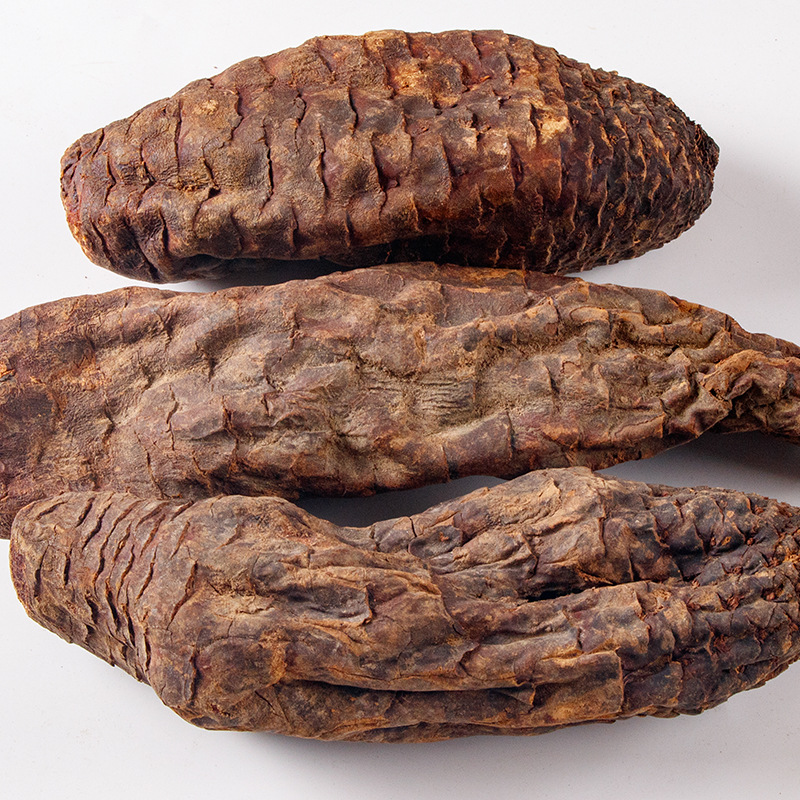 Xinjiang Cistanche Deserticola 500g Inner Mongolia Alxa League with Cynomorium Seed Wine Cistanche Deserticola Soft Danyun Delivery