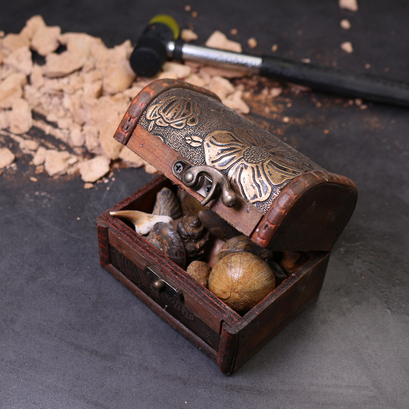 Archeological fossil parent-child archaeological excavation fossil original stone specimen ore fossil children's popular science teaching specimen