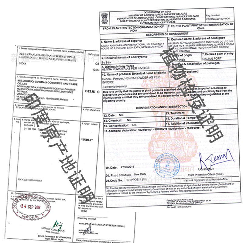 Wholesale pure Henna powder raw powder chestnut color 100g or bulk 100g per bag in bulk