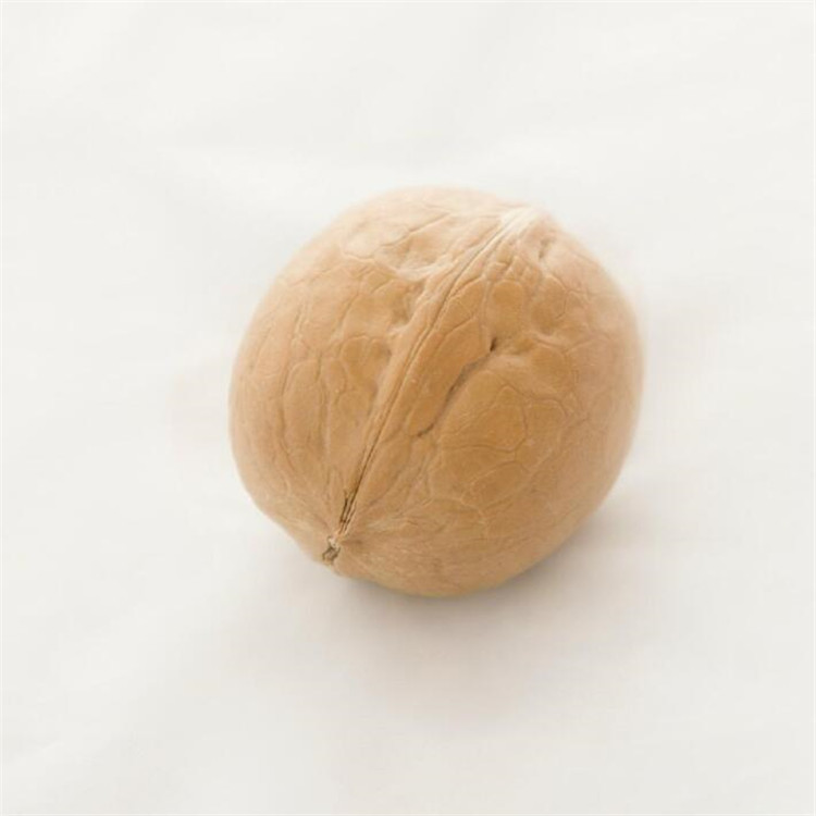 Raw Walnut Kernels, New Arrival, Two-way Three-way Walnut Kernels, Fresh Raw Walnut Kernels in Bulk, 500g, One Shipping