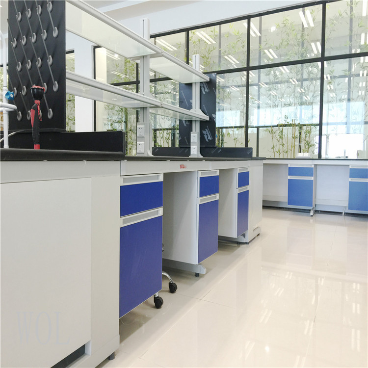 Wol Planning and Construction New Materials Chemical Laboratory Sterile Room Design Renovation Purification Engineering