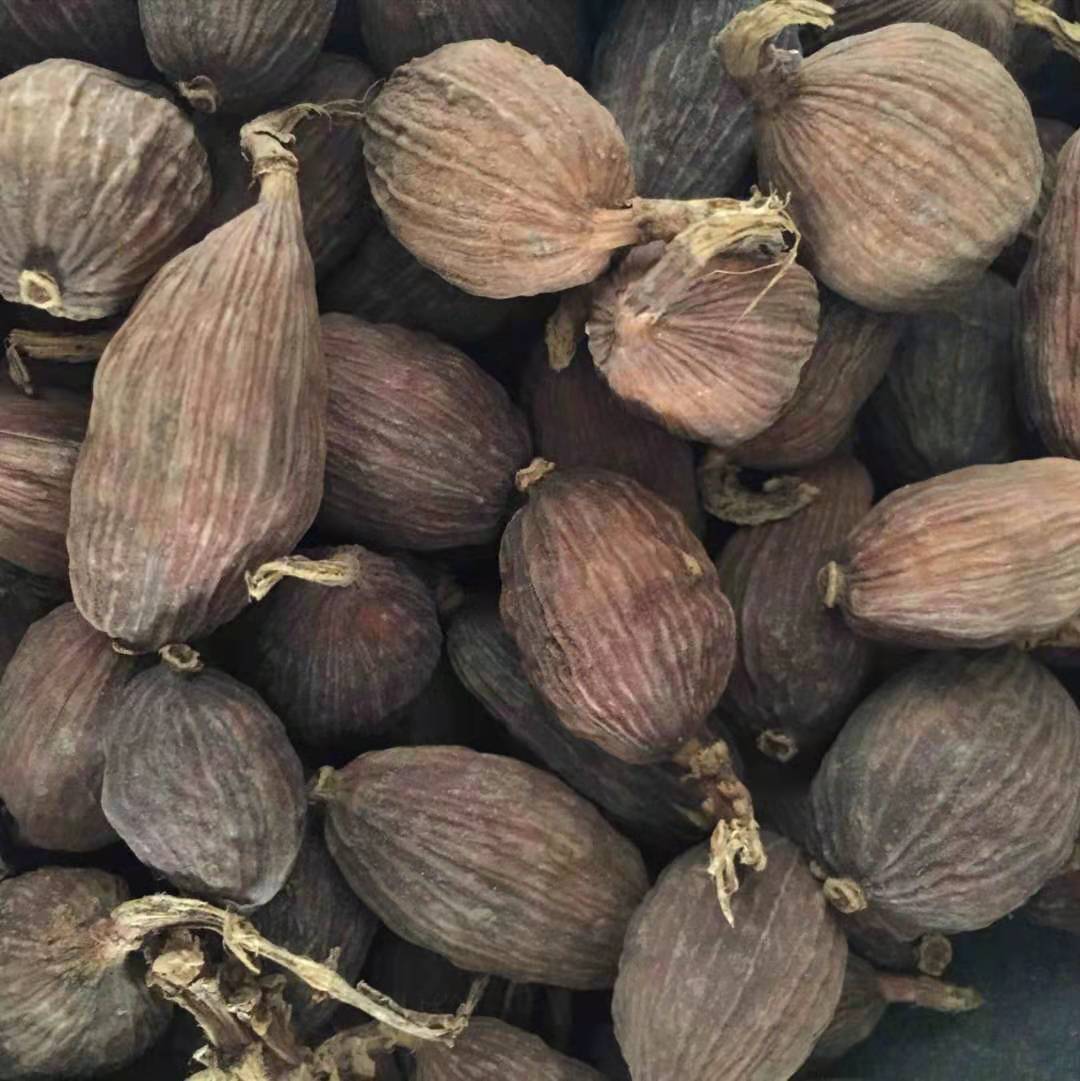 Spice collection octagonal cinnamon and cumin leaves, grass, fruit, Manna, sand kernel, white buckle, purple, cumin seasoning stew