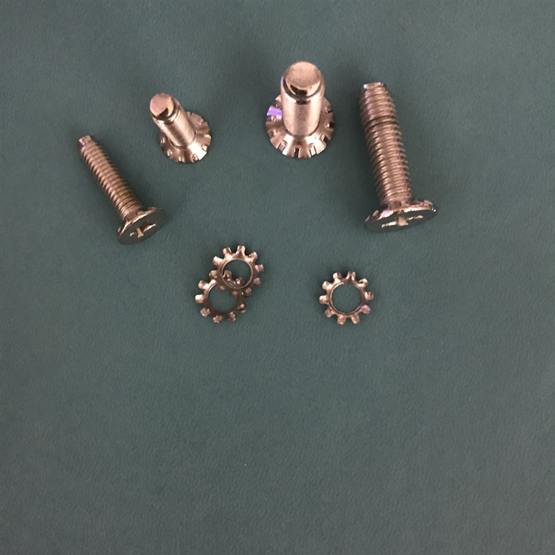 Washing Machine Impeller Turntable Water Leaf Chassis Screw 6Mm/8Mm Stainless Steel Screw Accessories