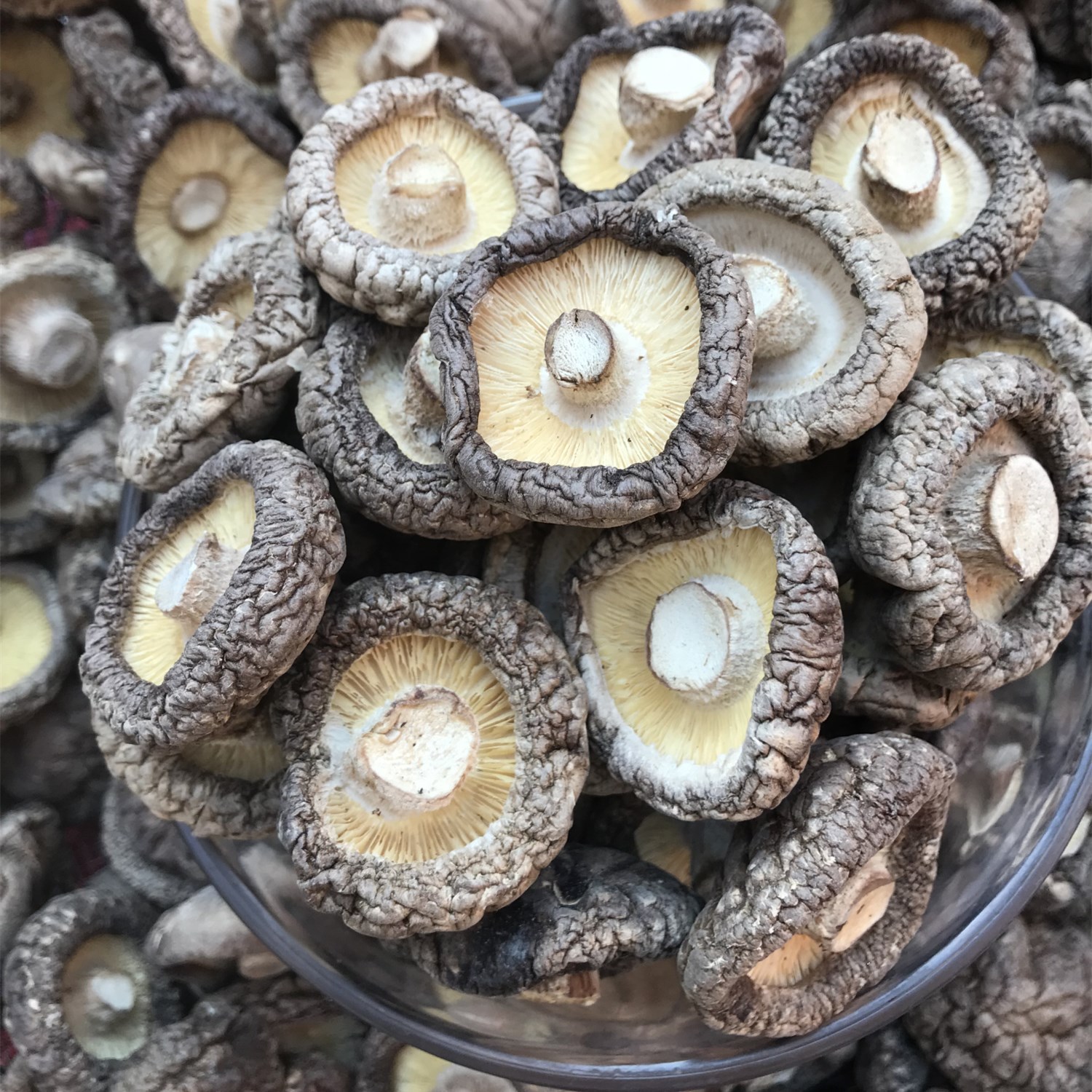 New Xixia Dried Shiitake Mushrooms Straight Hair Shiitake Mushrooms Thin Mushrooms Incense Letter Wholesale Bulk Dried Shiitake Mushrooms Cut Angle Fragrance