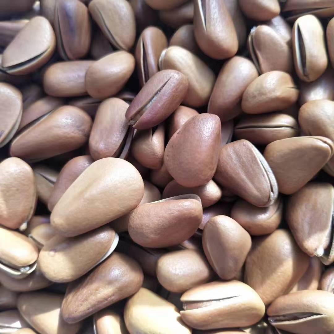 Large Bulk Wholesale New Arrival Pine Nuts in Bulk Original Hand-pulled Open Red Pine Nuts Roasted Seeds and Nuts with Pine Nuts Generation Pine Nuts