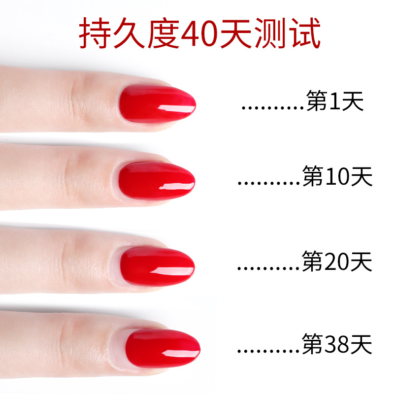 Nail Art Bottom Adhesive Seal Set Base Function Phototherapy Adhesive Removable and Lasting Reinforced Nail Polish Adhesive for Nail Art Shop