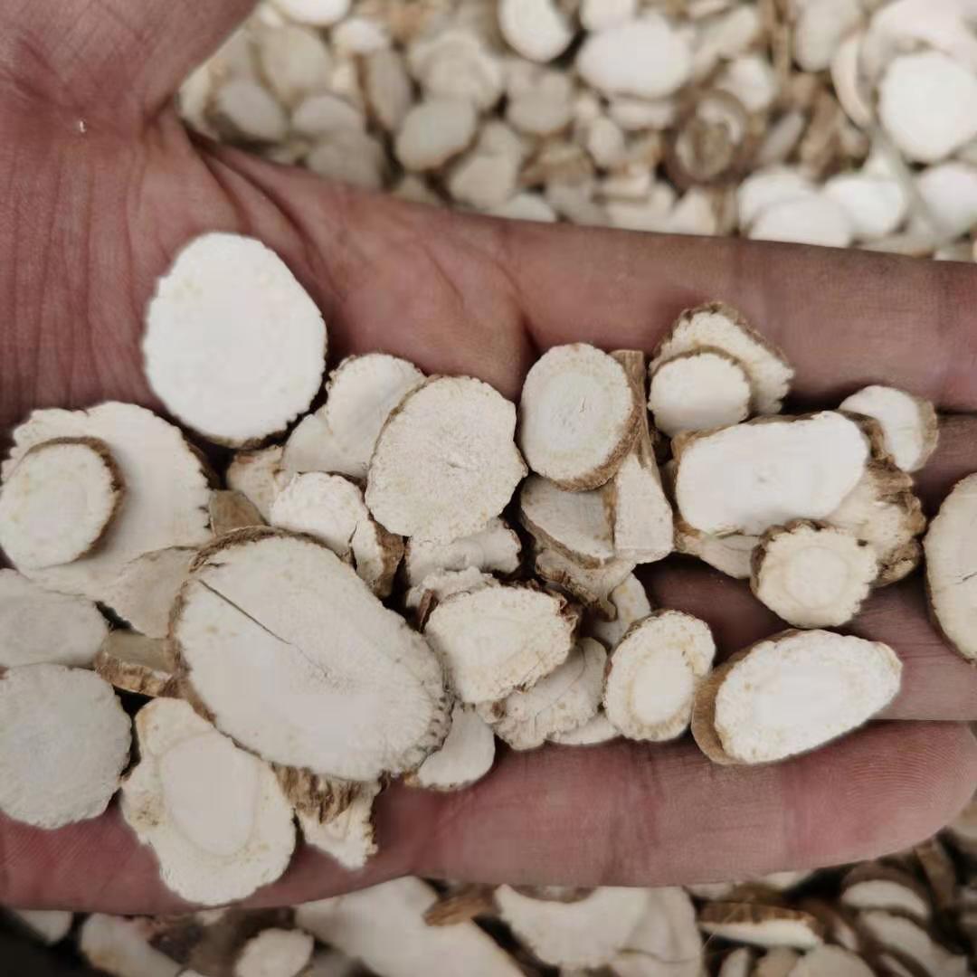 Wholesale Chinese Medicinal Materials, Angelica Dahurica, Angelica Dahurica Tablets, Free Powdering, Undertake Various Mixed Powders, Physical Shooting