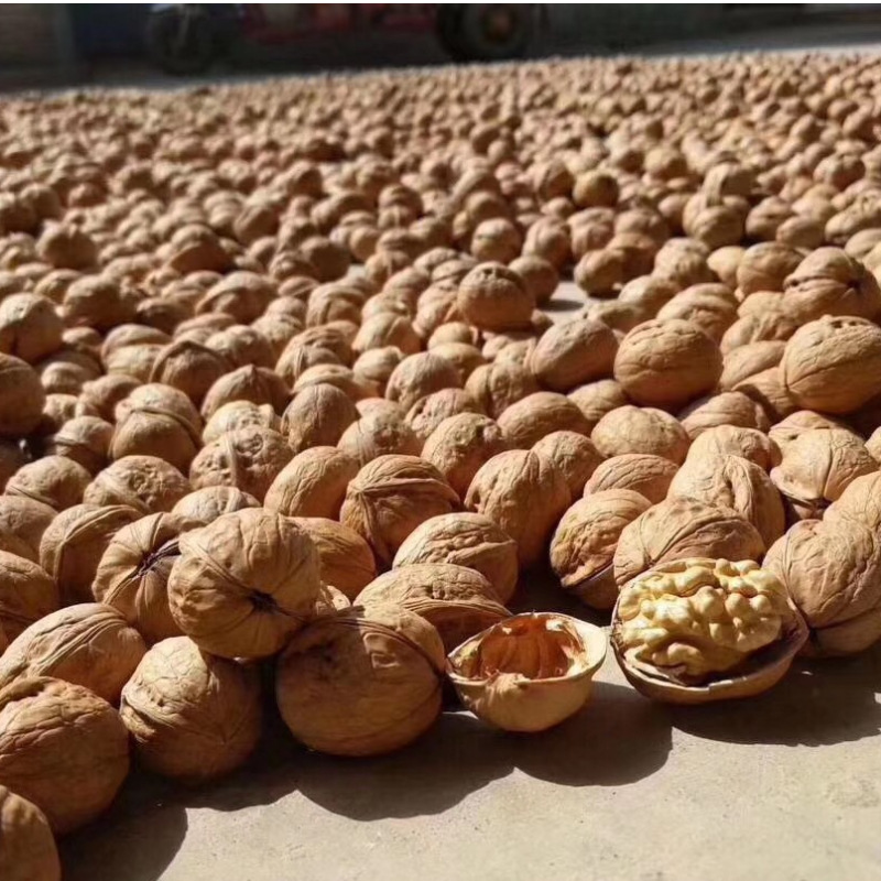 Xinjiang specialty 24 years new walnut Xinjiang Aksu 185 paper walnut hand kneading full walnut 500g