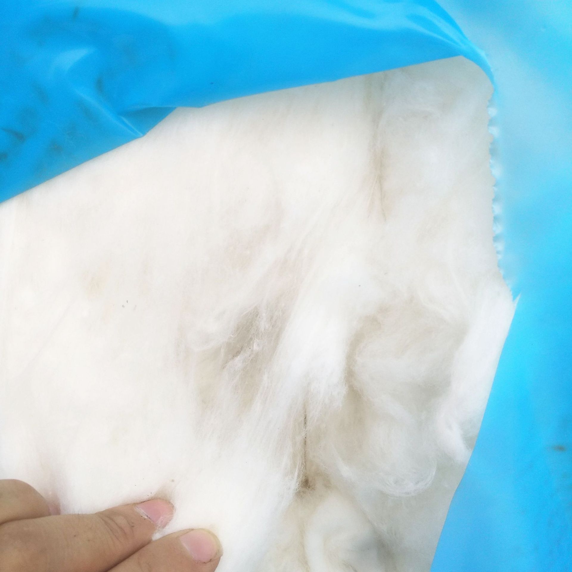 Cotton Cotton Cotton Cotton Lint Cotton Combed Cotton Long-Staple Cotton Lint Cotton Wholesale