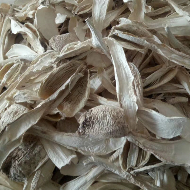 Manufacturer Dry Goods Wholesale Large Slices of Chicken Leg Mushrooms 500g Agricultural Products Dried Chicken Leg Mushrooms Thick Flesh, Clean and Sand-Free