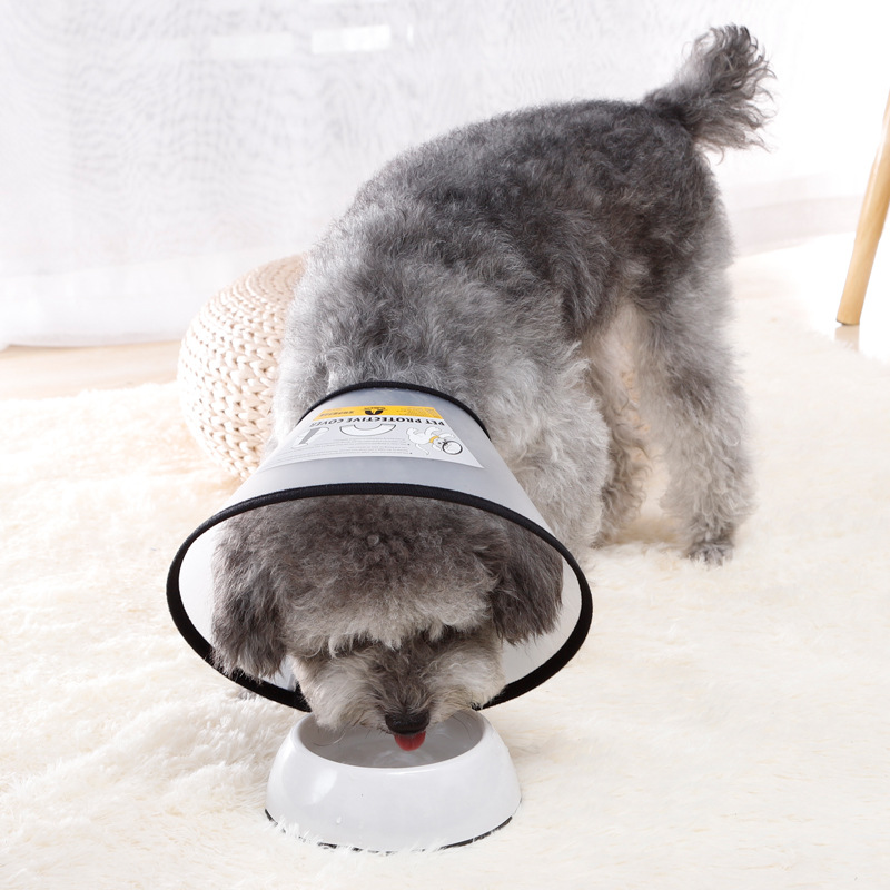 Spot Elizabeth ring cat collar bath beauty protective cover pet protective collar pet supplies wholesale