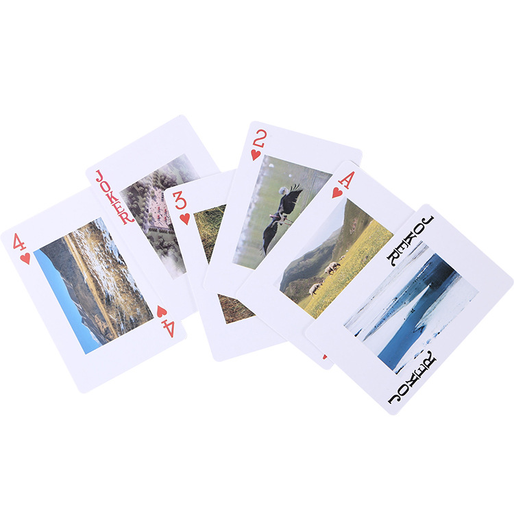 Custom-Made Advertising Playing Cards for Banks, Automobiles, Real Estate, and Property Development Promotional Gifts with Customized Logos