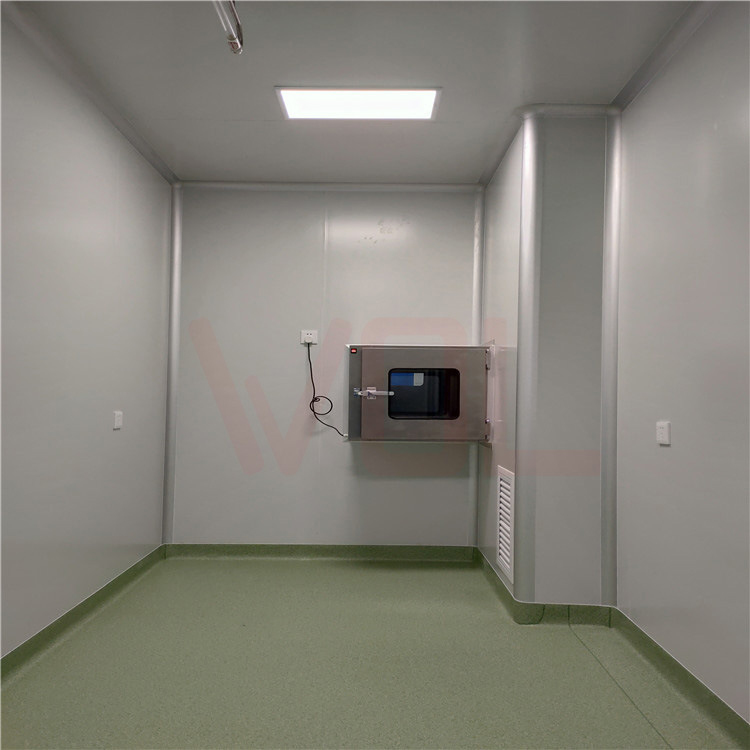 Wol Planning and Construction of Sterile and Dust-Free Biopharmaceutical Pilot Workshop Purification Engineering Design and Decoration