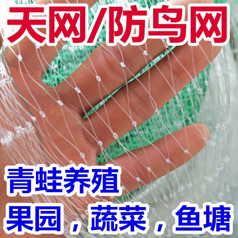 Factory direct anti-bird net nylon net frog breeding anti-escape net Bullfrog purse seine fish pond loach Sky Net