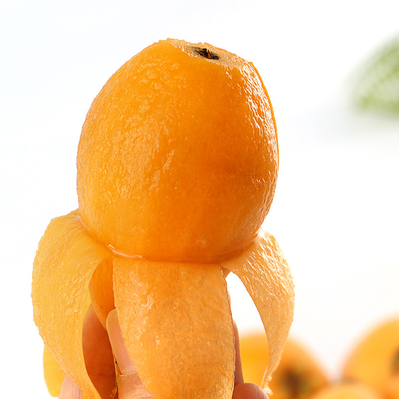 Fresh Sichuan Mi Yi Loquat in Season, Picked from High Mountain Trees, Premium Quality, Sweet and Juicy, Available for Dropshipping