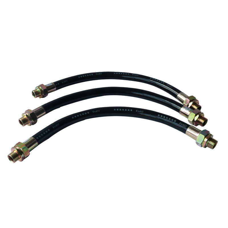 Explosion-Proof Flexible Pipe 4 Points 6 Points Threading Hose Dn15Dn20 Explosion-Proof Anti-Corrosion Connection Metal Stainless Steel Rubber Pipe