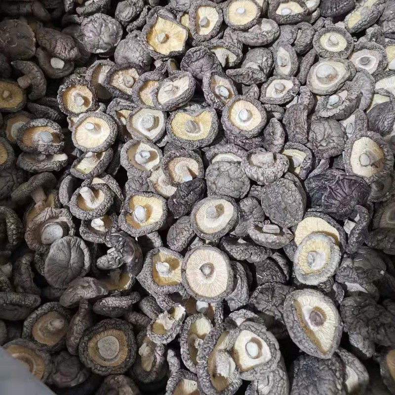 New Xixia Dried Shiitake Mushrooms Straight Hair Shiitake Mushrooms Thin Mushrooms Incense Letter Wholesale Bulk Dried Shiitake Mushrooms Cut Angle Fragrance