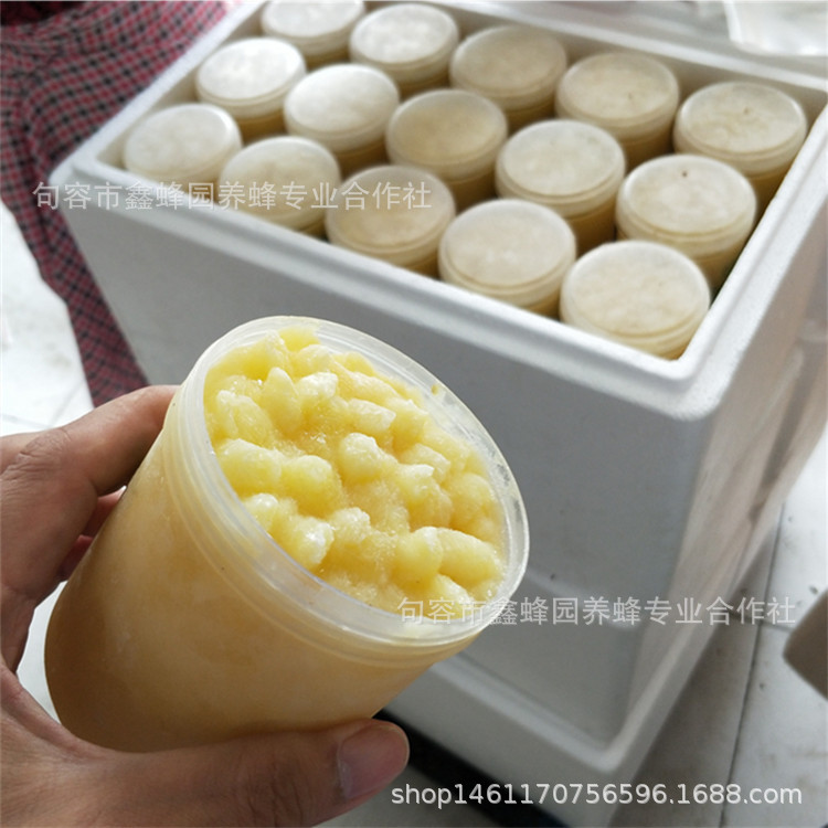 Сад Синби интернет-знаменитость стиль источник силы пчелиная ферма самоизготовленная чистая натуральная еда 500г королевское молочко