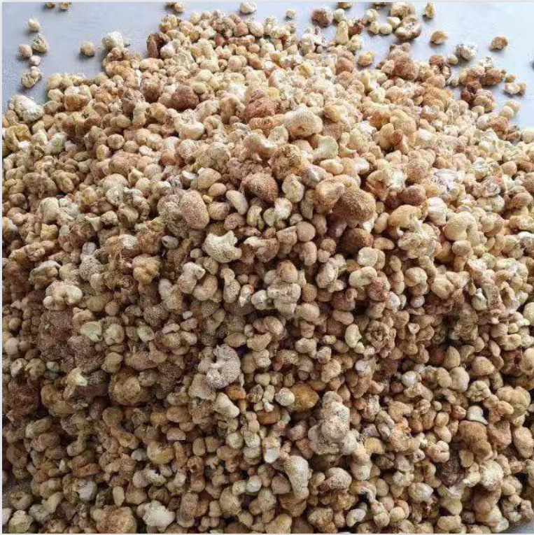 Fujian specialty ground powder Hericium Erinella dried goods 500g agricultural products ground powder dried Hericium Erinella dried goods edible fungus wholesale