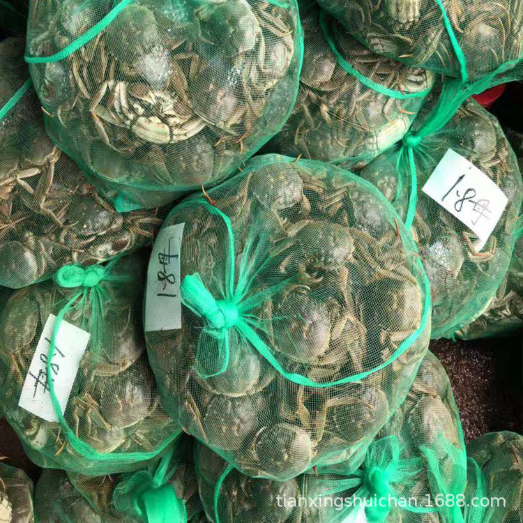 Hubei Honghu Ecological Hairy Crabs, Various Specifications, Shipped from the Base, White Background, Fresh Hairy Crabs, Wholesale from the Origin