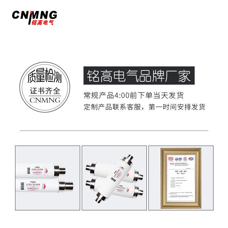 Load Switch with 10-12Kv Indoor High-Voltage Current-Limiting Fuse Xrnt1/Sfldj Transformer Protection 125A