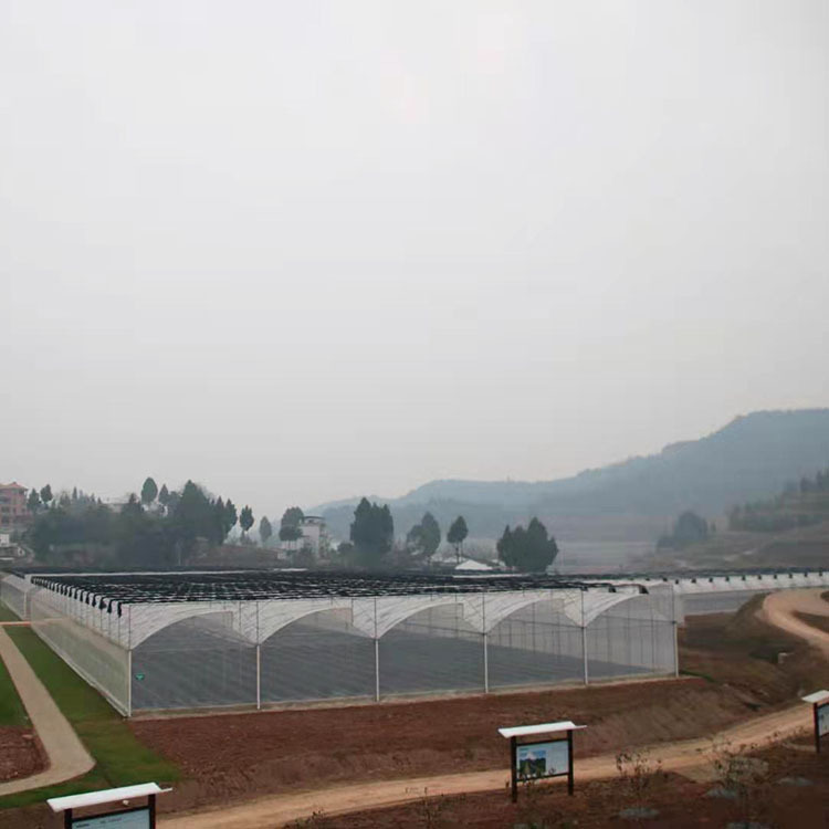 Longevity Greenhouse Film PO Greenhouse Dripless Black and White Farming Film Sunscreen Transparent Insulation Film Silage Film Vegetable Wholesale