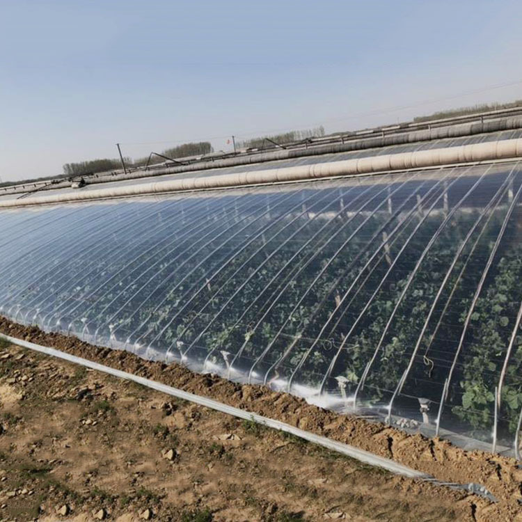 Agricultural greenhouse film PO vegetable film greenhouse strawberry flower non-drip film plastic cloth film sunscreen breeding black and white film