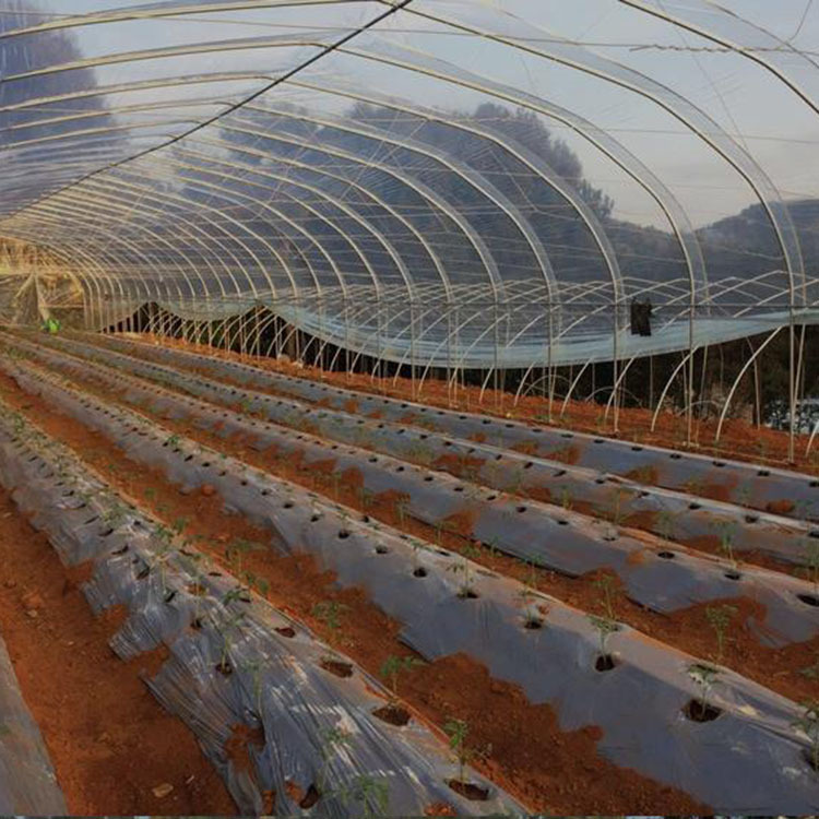 Agricultural greenhouse film PO vegetable film greenhouse strawberry flower non-drip film plastic cloth film sunscreen breeding black and white film