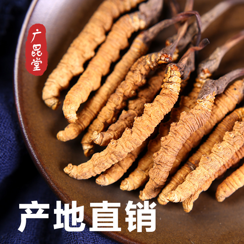 Wholesale Cordyceps Sinensis, Xizang Nagqu Cordyceps, Source Area Early Season Hay, Custom Gift Box