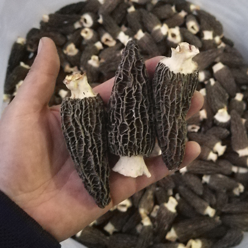 Yunnan Origin wholesale mushroom soup package Morchella dry goods 250g large cut handle edible fungus artificial hotel ingredients