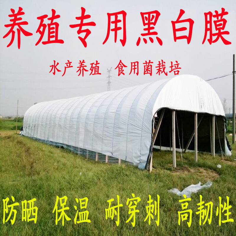 New Greenhouse Film Thickened Black and White Green Film Culture Film Waterproof Cooling Heat Insulation Shading Silage Film Edible