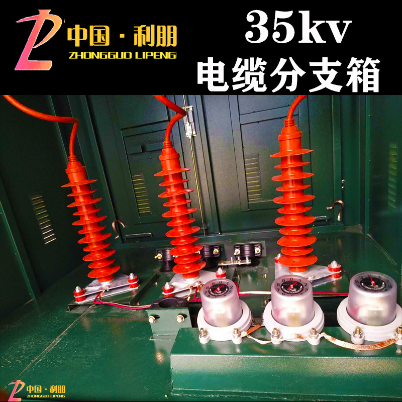 Outdoor High-Voltage Cable Branch Box with Isolation Cable Branch Box One in Two Out 35Kv Copper Strip Cable Branch Box