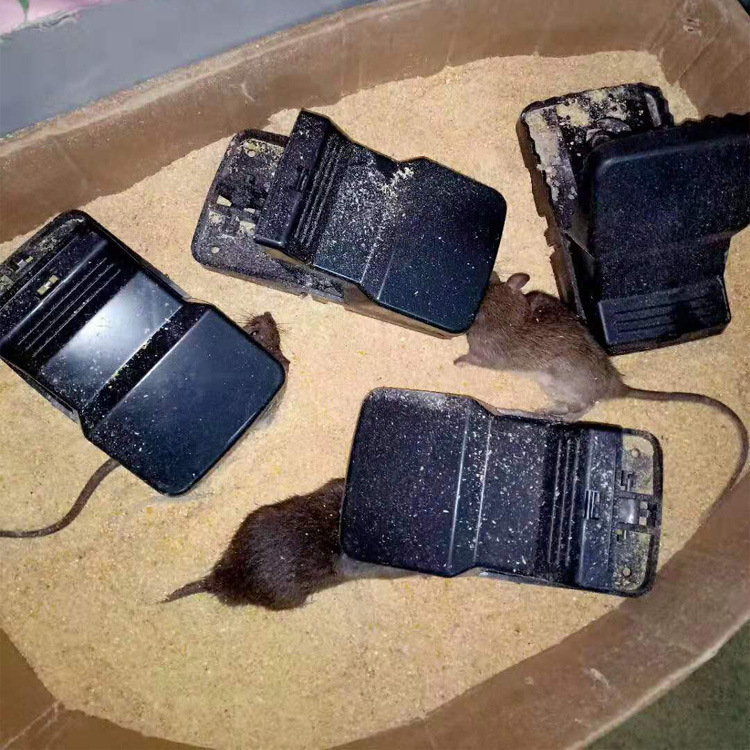 Cross-border Products Extra Large Mouse Clip High Sensitive and Heavy Bite Plastic Mouse Clip Rodenticide