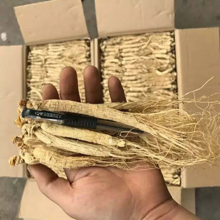 Changbai Mountain Small Ginseng Whole Root Raw Sun-Dried Ginseng Soap Essence Dried Ginseng Cosmetics Dried Ginseng Flower Tea Food