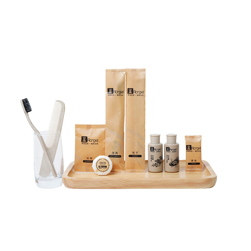 Manufacturer Hotel Supplies Hotel Kraft Paper Toiletry Set Toothbrush Wholesale Disposable Toothbrush with Paste for B&B