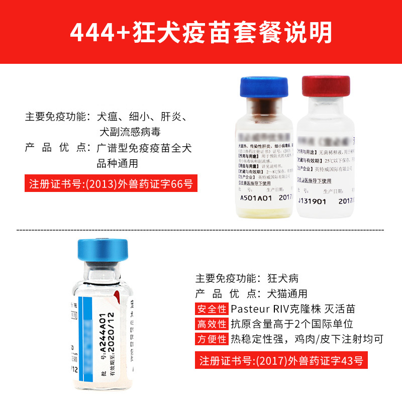 INTWEI Quadruple rabies dog puppy plague fine puppy prevention nursery pet vaccine this needle suit