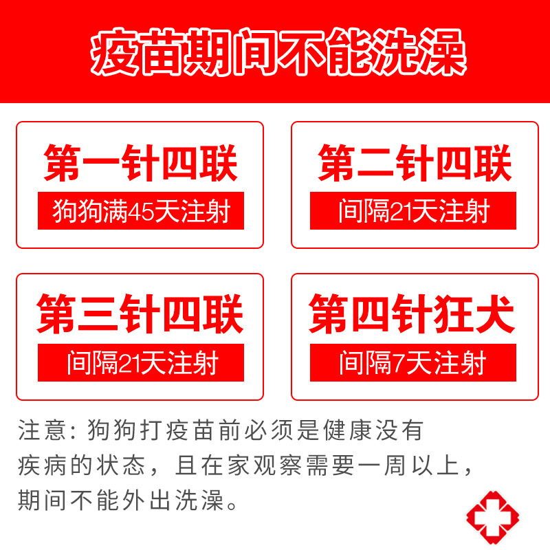 INTWEI Quadruple rabies dog puppy plague fine puppy prevention nursery pet vaccine this needle suit