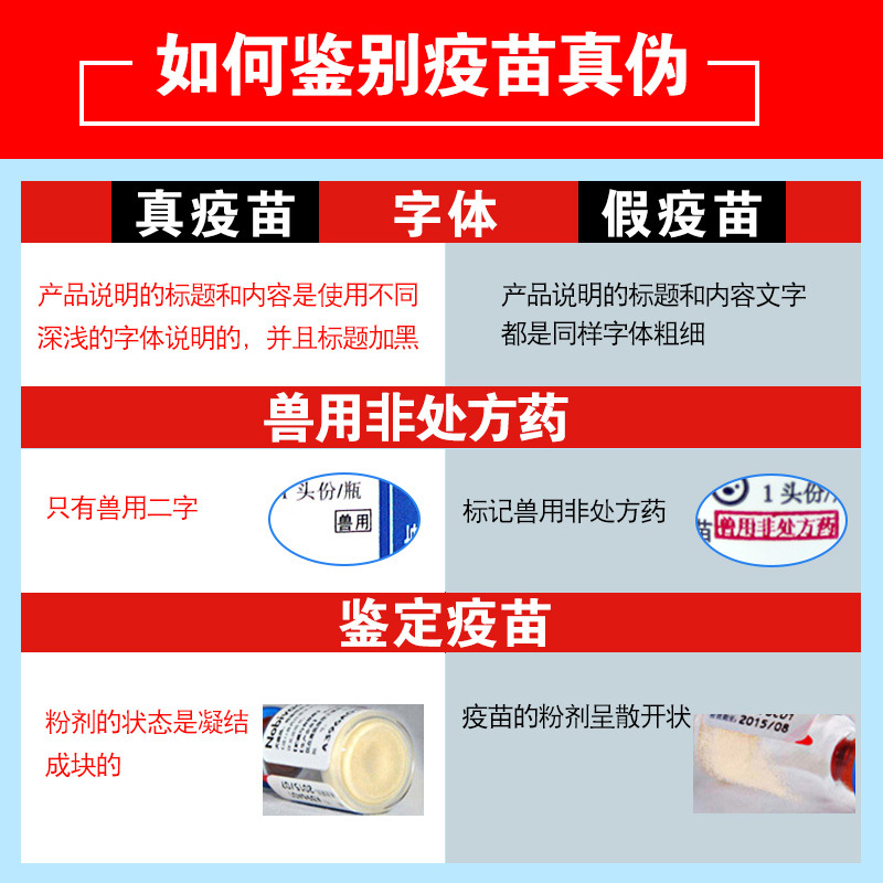 INTWEI Quadruple rabies dog puppy plague fine puppy prevention nursery pet vaccine this needle suit