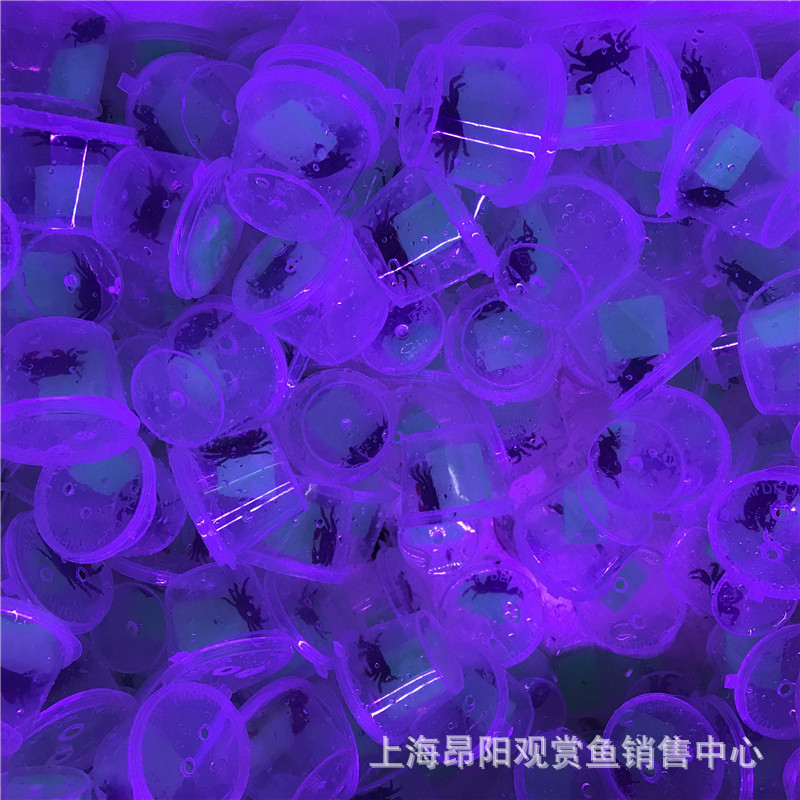 Pet Crab Living Mini Ornamental Crab Living Mini Crab Pepper Crab Deepwater Crab Eating Planchia Can be Mixed with Fish and Shrimp