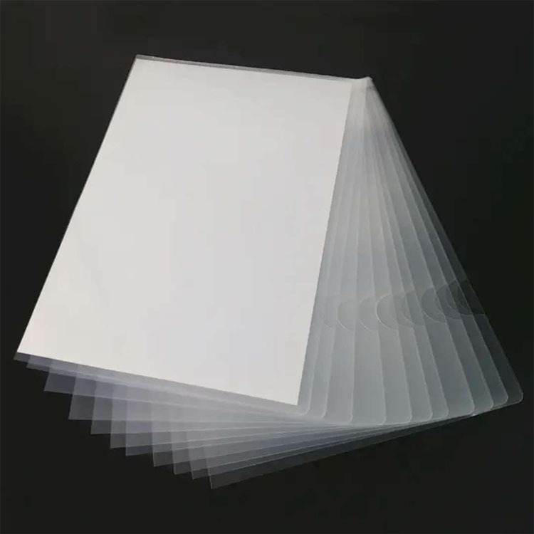 Single Folder A4L Type Folder Insert Single Page Transparent Two-Page File Bag Plastic Loose-Leaf File Sleeve Information Bag