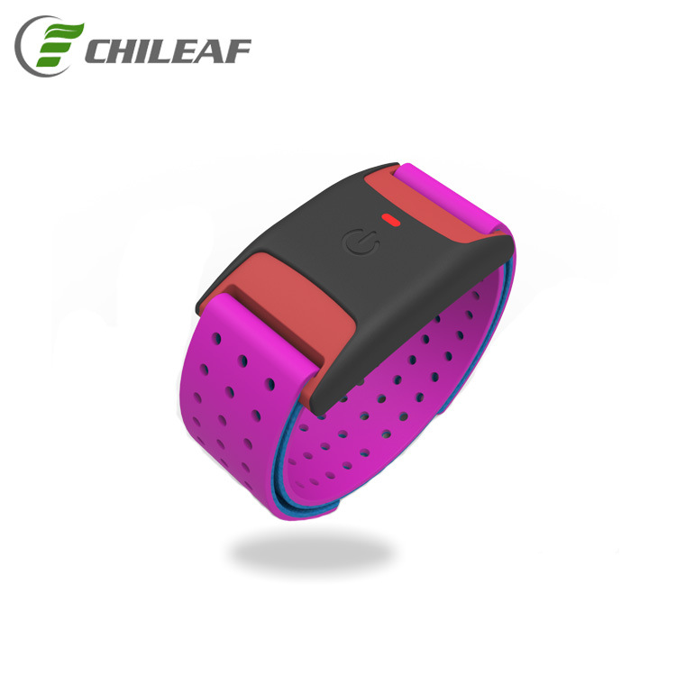 Team Training Heart Rate Band Armband Bluetooth Real-Time Data Heart Rate Monitor Arm Band Heart Rate Sensor