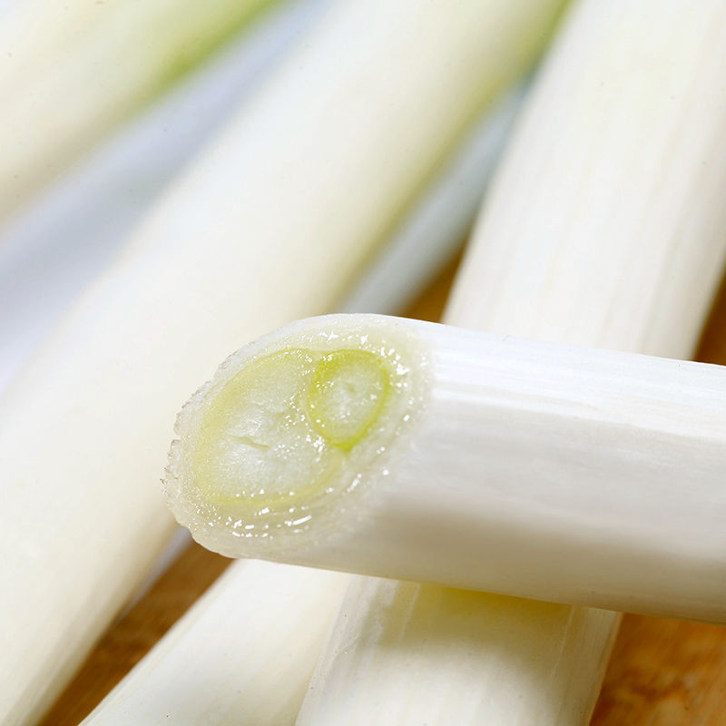Free Shipping from Shandong to Your Location: Fresh Green Onions, Freshly Dug Green Onions for Pancakes, Fresh Green Onions