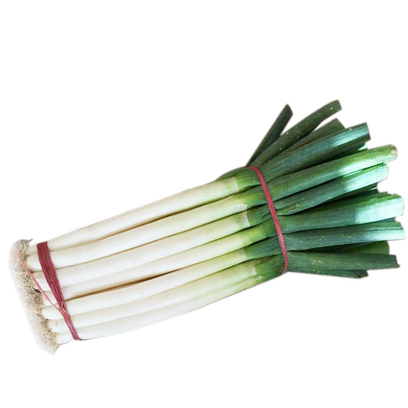 Бесплатная доставка из Шаньдуна к вам: свежий зеленый лук, свежевыкопанный зеленый лук для лепешек, свежий зеленый лук