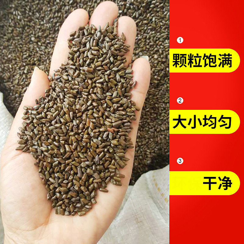 Cassia Seed Tea Polishing Dust Removal Large Particles Cassia Seed Filling Pillow Core Kidsren's Cassia Seed Toy Sand