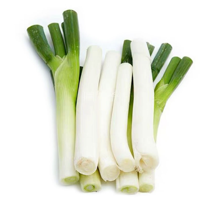 Free Shipping from Shandong to Your Location: Fresh Green Onions, Freshly Dug Green Onions for Pancakes, Fresh Green Onions