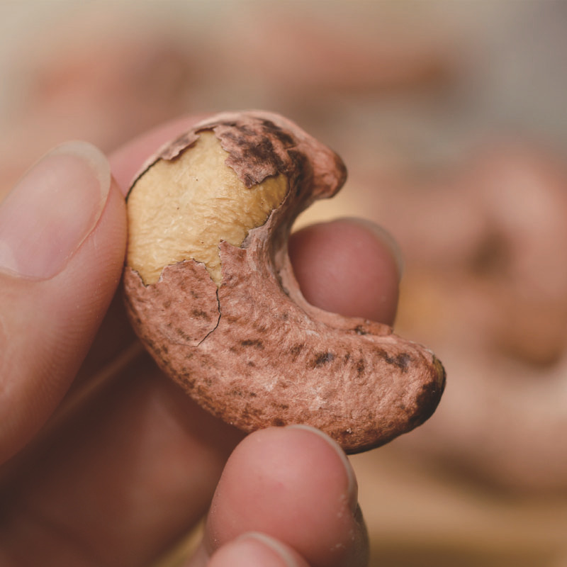 Whole Piece Wholesale Vietnam Zhengba Po Cashew Nuts with Skin A+180 Bulk Cashew Nuts 500g