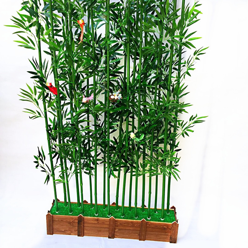 Gold Inlaid Jade Bamboo Seedlings, Evergreen All Year Round, Outdoor Courtyard, Indoor Balcony Ornamental Plants, Green Bamboo, Purple Bamboo, Luohan Bamboo